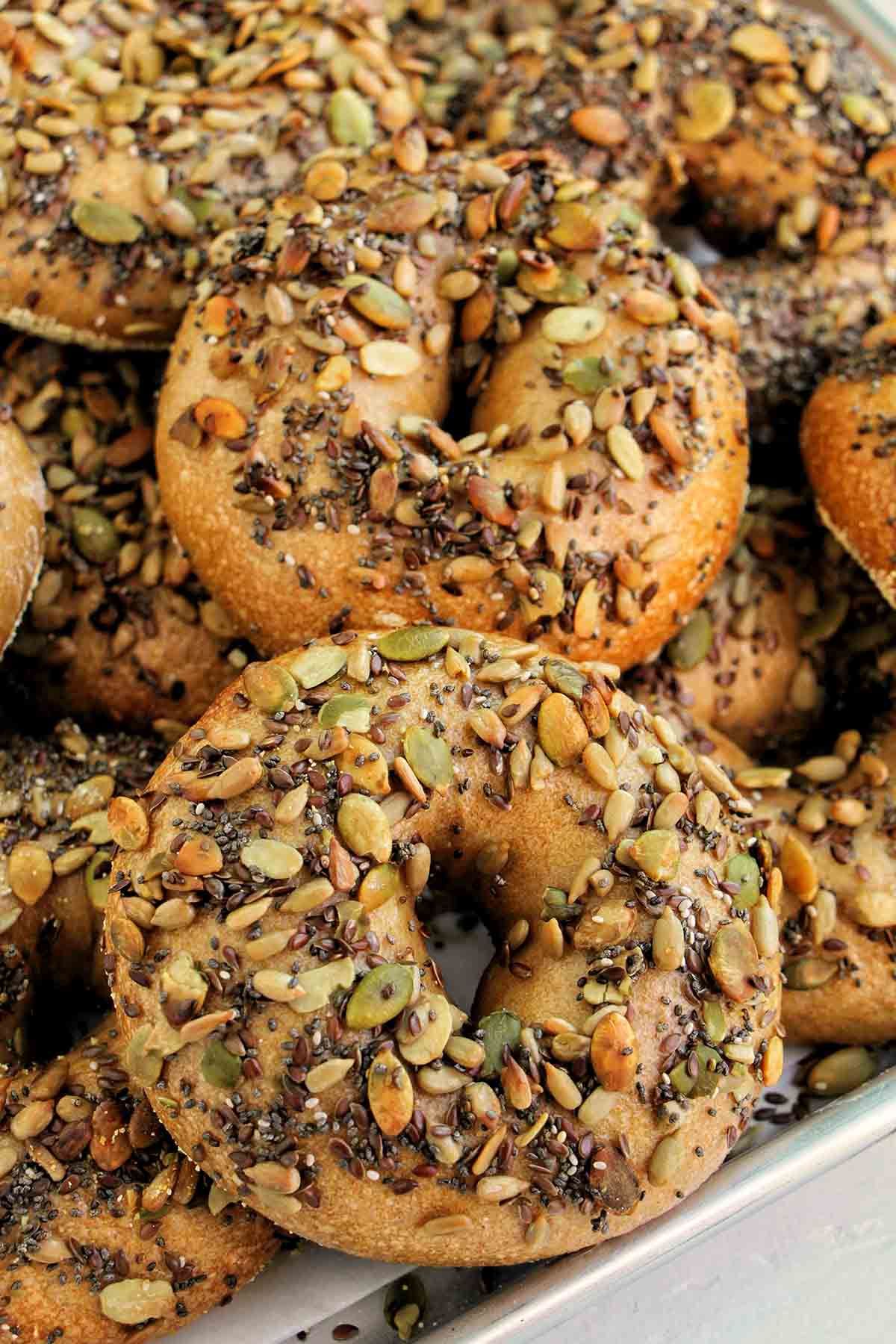 Sunflower Bagel
