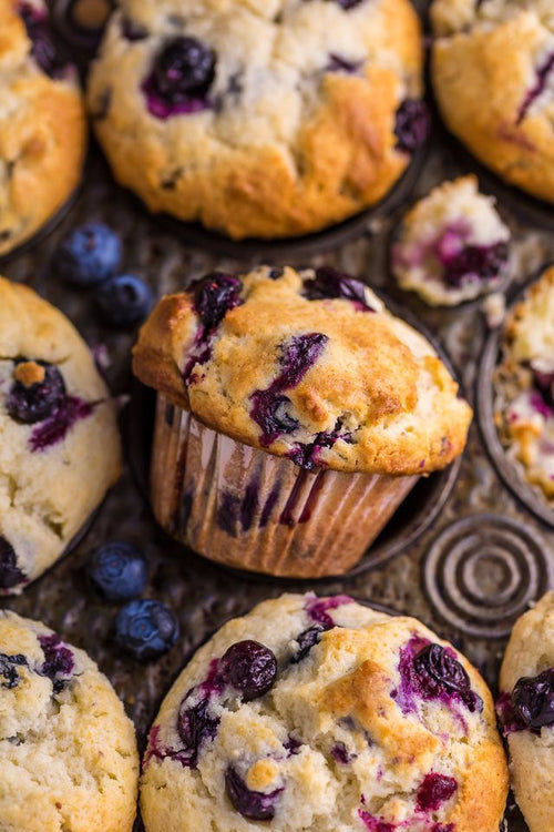 Blueberry Muffin